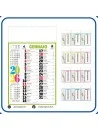 Calendario Olandese Color stampata