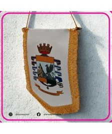 Gagliardetto pentagonale 15x25 cm